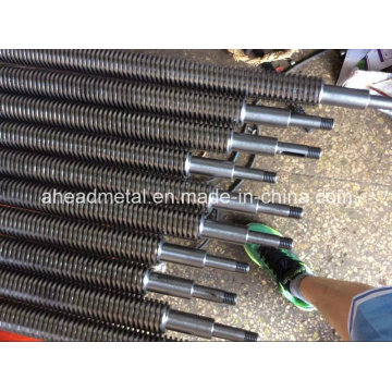 Trapezoidal Thread Acme Rod Lead Screw